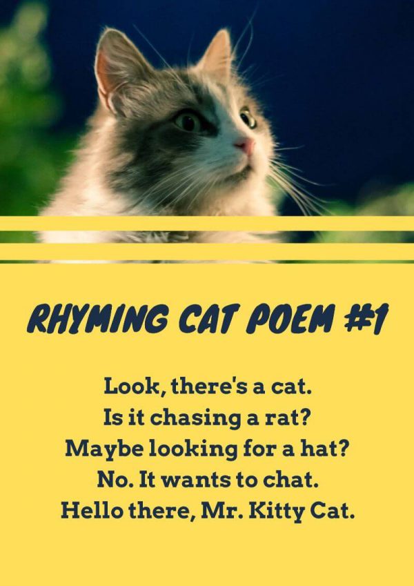 Poems From Cats